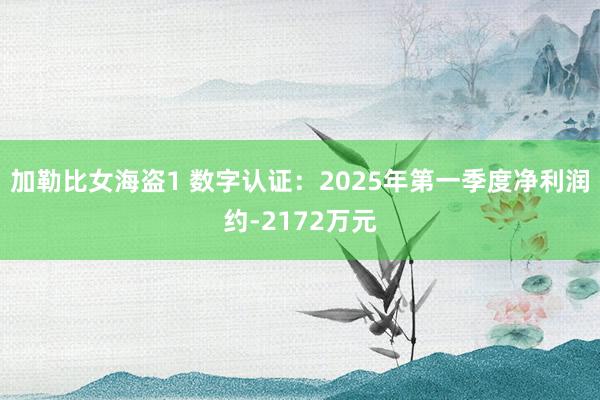 加勒比女海盗1 数字认证：2025年第一季度净利润约-2172万元