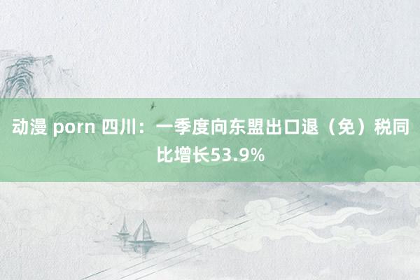 动漫 porn 四川：一季度向东盟出口退（免）税同比增长53.9%