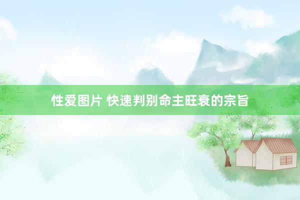 性爱图片 快速判别命主旺衰的宗旨