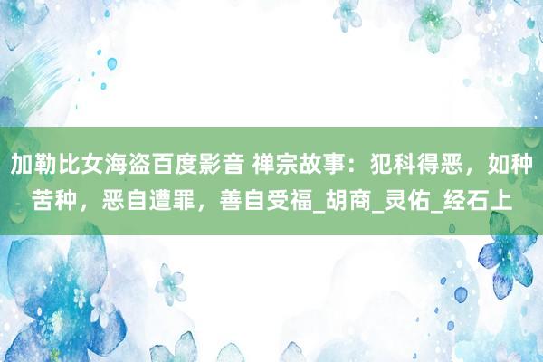加勒比女海盗百度影音 禅宗故事：犯科得恶，如种苦种，恶自遭罪，善自受福_胡商_灵佑_经石上