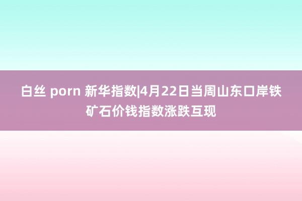 白丝 porn 新华指数|4月22日当周山东口岸铁矿石价钱指数涨跌互现