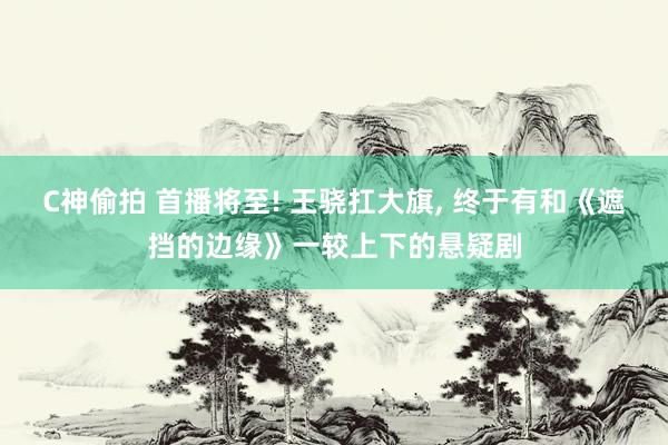 C神偷拍 首播将至! 王骁扛大旗， 终于有和《遮挡的边缘》一较上下的悬疑剧